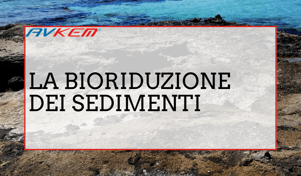 Bioriduzione sedimenti