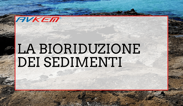 Bioriduzione sedimenti